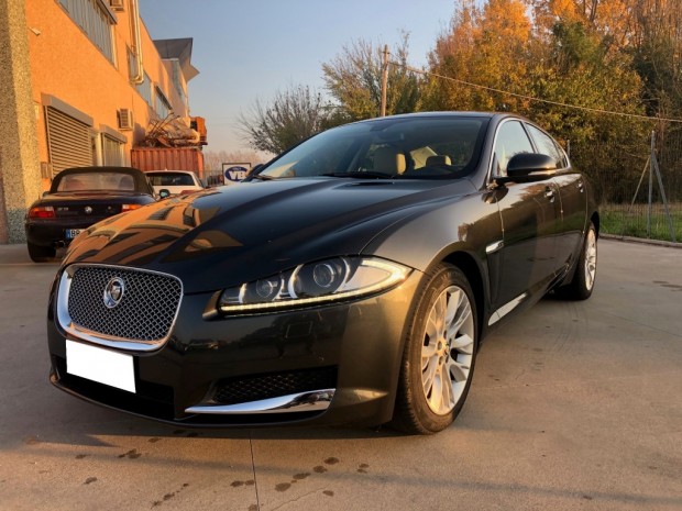 JAGUAR (10) JAGUAR (10)