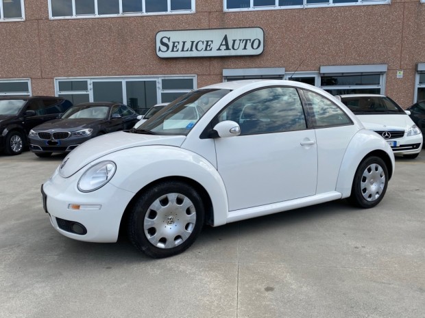 New beetle (11) New beetle (11)